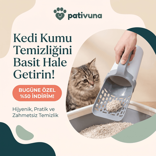 Akıllı Kedi Kum Temizleyicisi