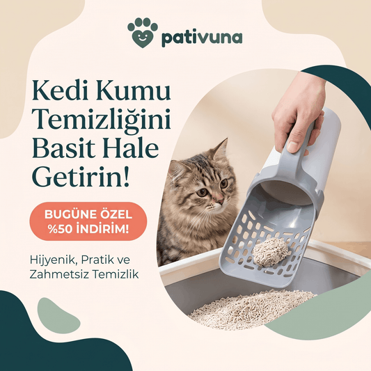 Akıllı Kedi Kum Temizleyicisi