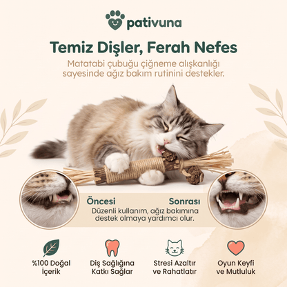 Pativuna Doğal Matatabi Çiğneme Çubuğu