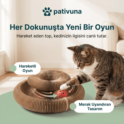 Akıllı Tırmalama ve Oyun Yatağı