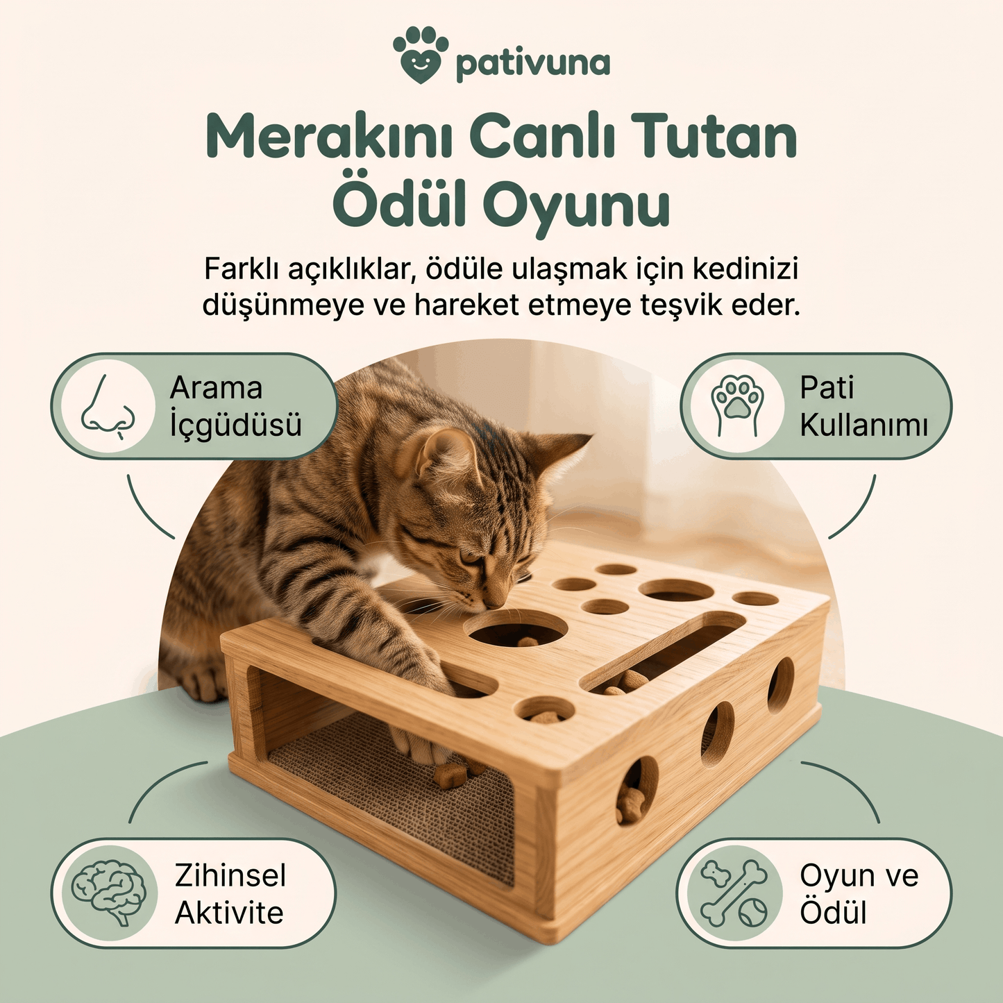 Akıllı Ödül ve Tırnak Bakım Oyunu