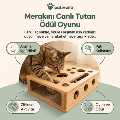 Akıllı Ödül ve Tırnak Bakım Oyunu