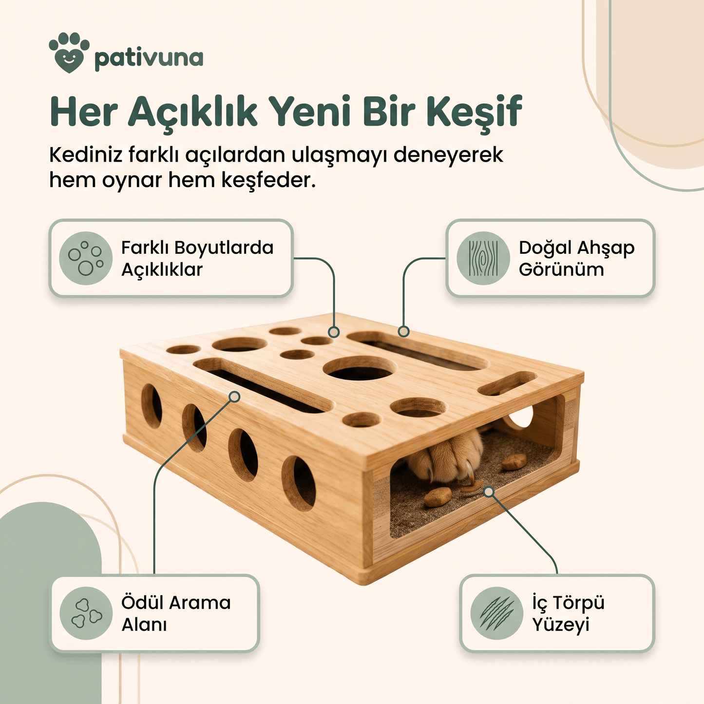 Akıllı Ödül ve Tırnak Bakım Oyunu