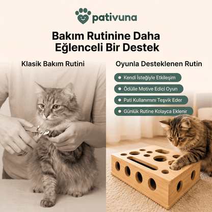 Akıllı Ödül ve Tırnak Bakım Oyunu